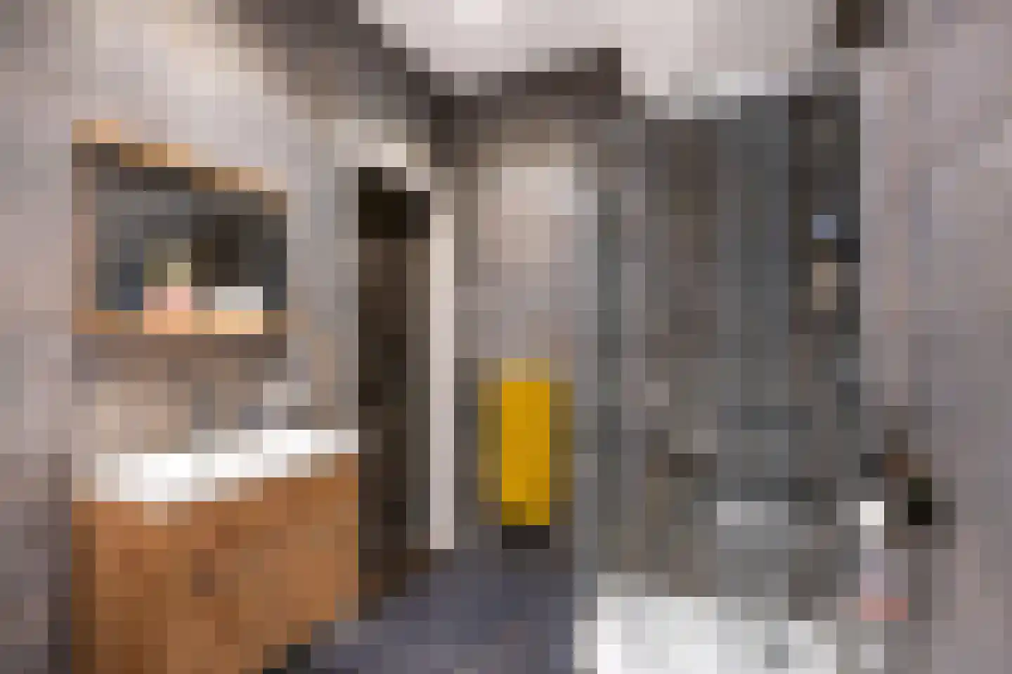Winsumerweg 14 Onderdendam thumbnail 29