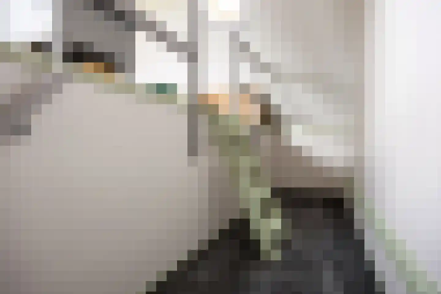 Winsumerweg 14 Onderdendam thumbnail 32