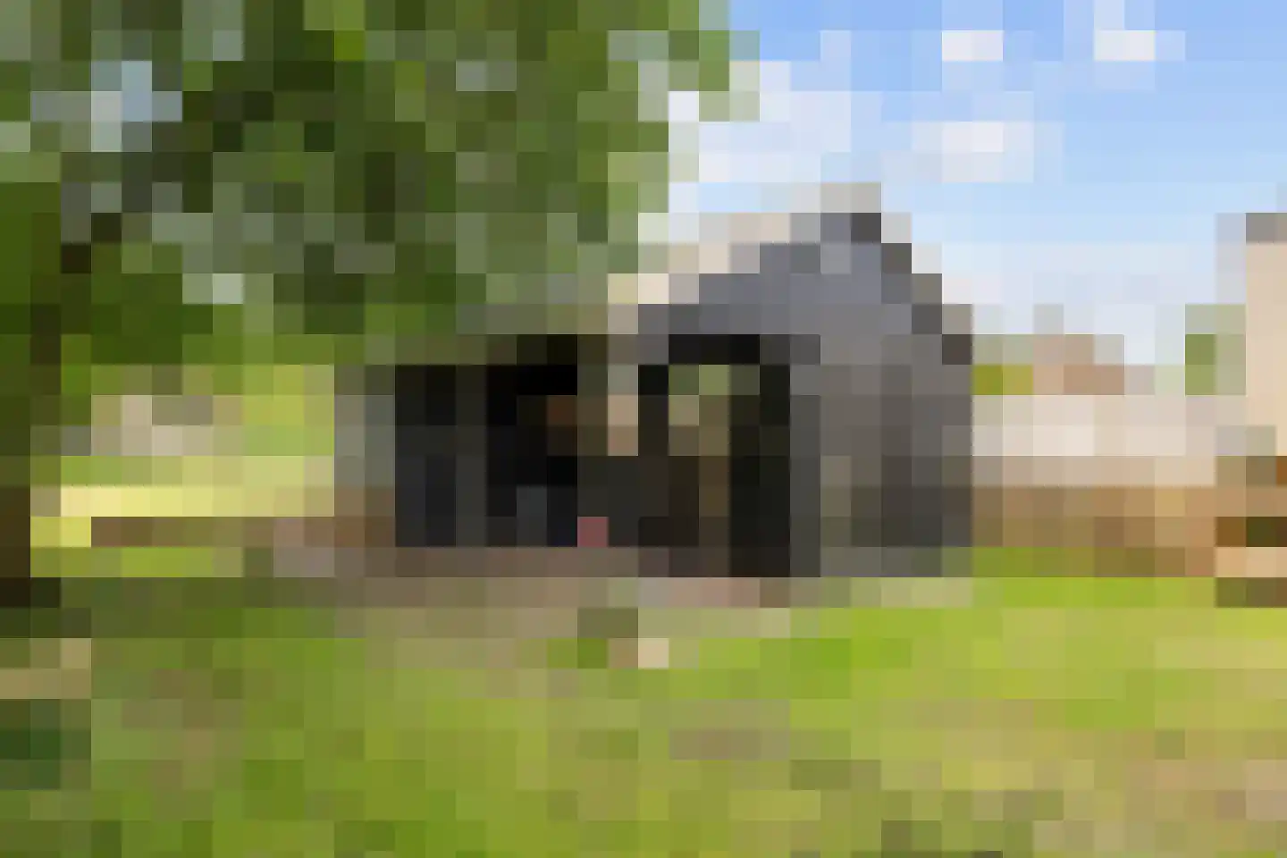 Winsumerweg 14 Onderdendam thumbnail 40
