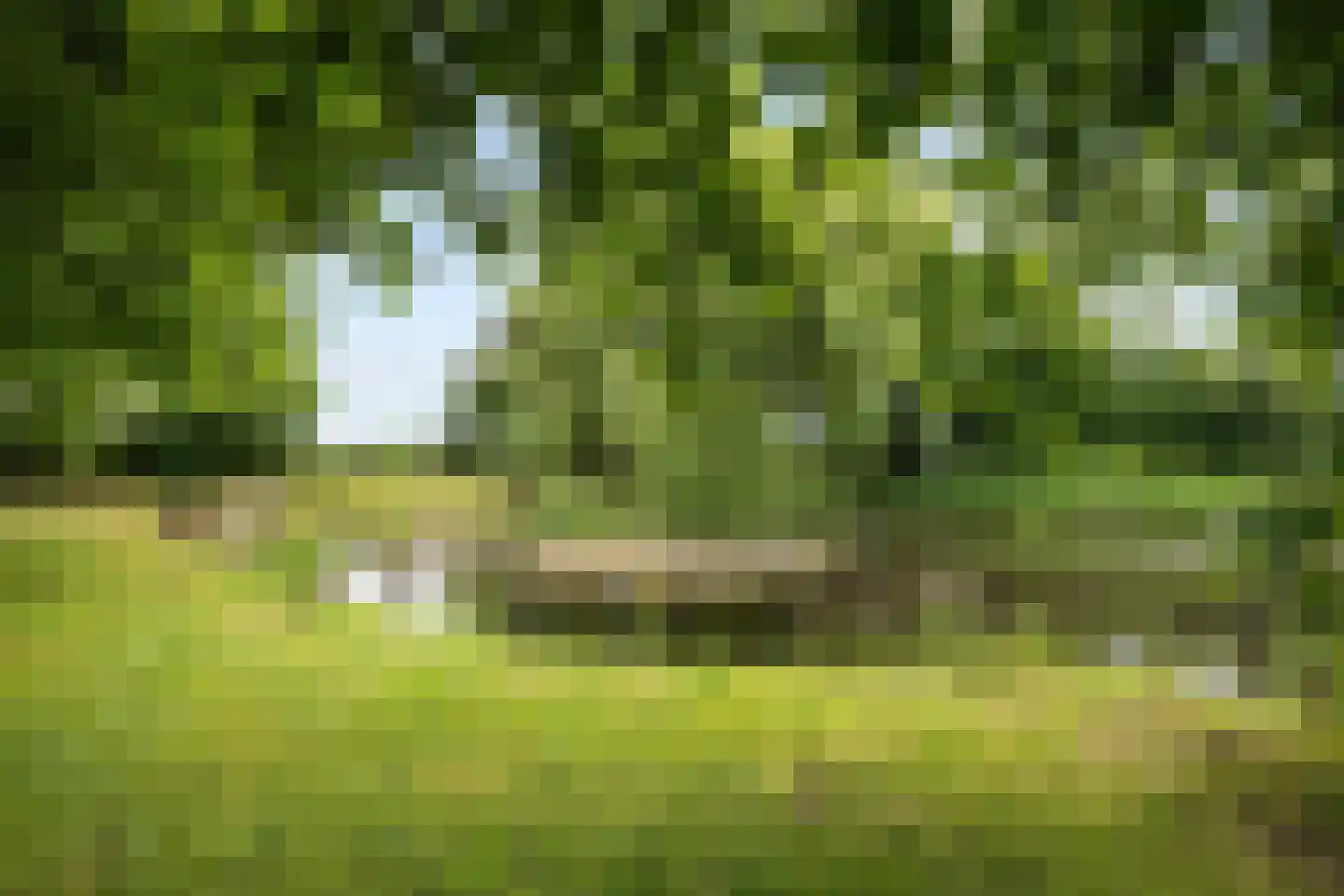 Winsumerweg 14 Onderdendam thumbnail 46