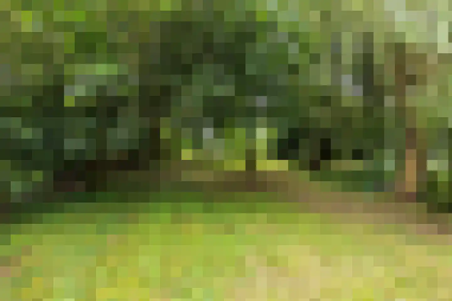 Winsumerweg 14 Onderdendam thumbnail 47