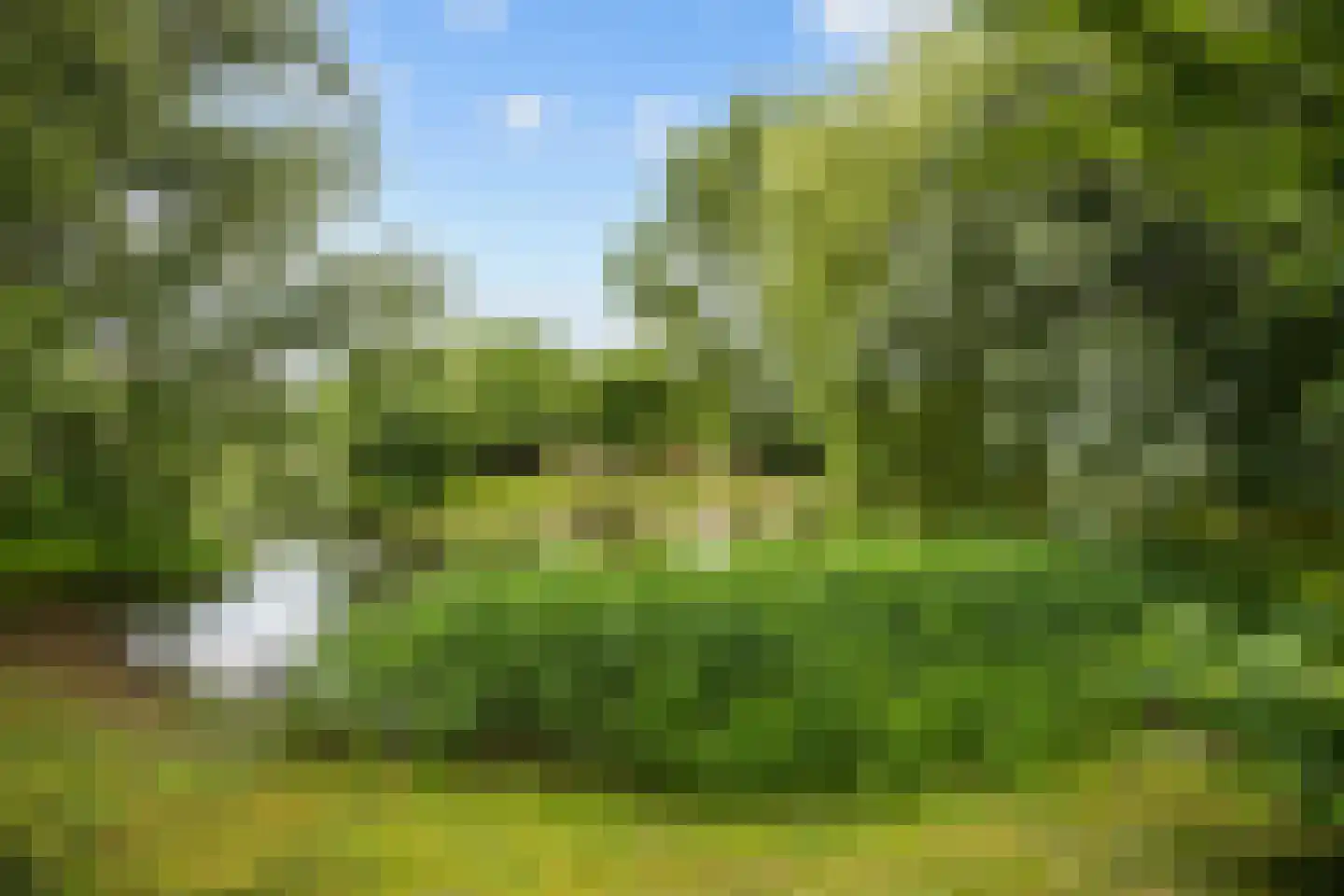 Winsumerweg 14 Onderdendam thumbnail 48