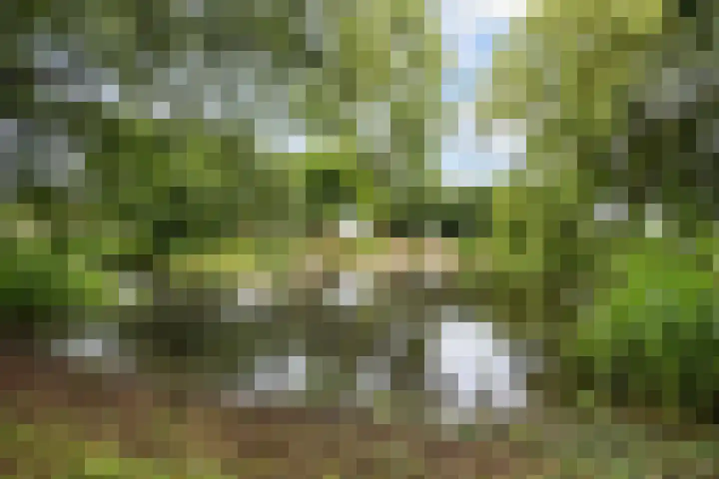 Winsumerweg 14 Onderdendam thumbnail 49