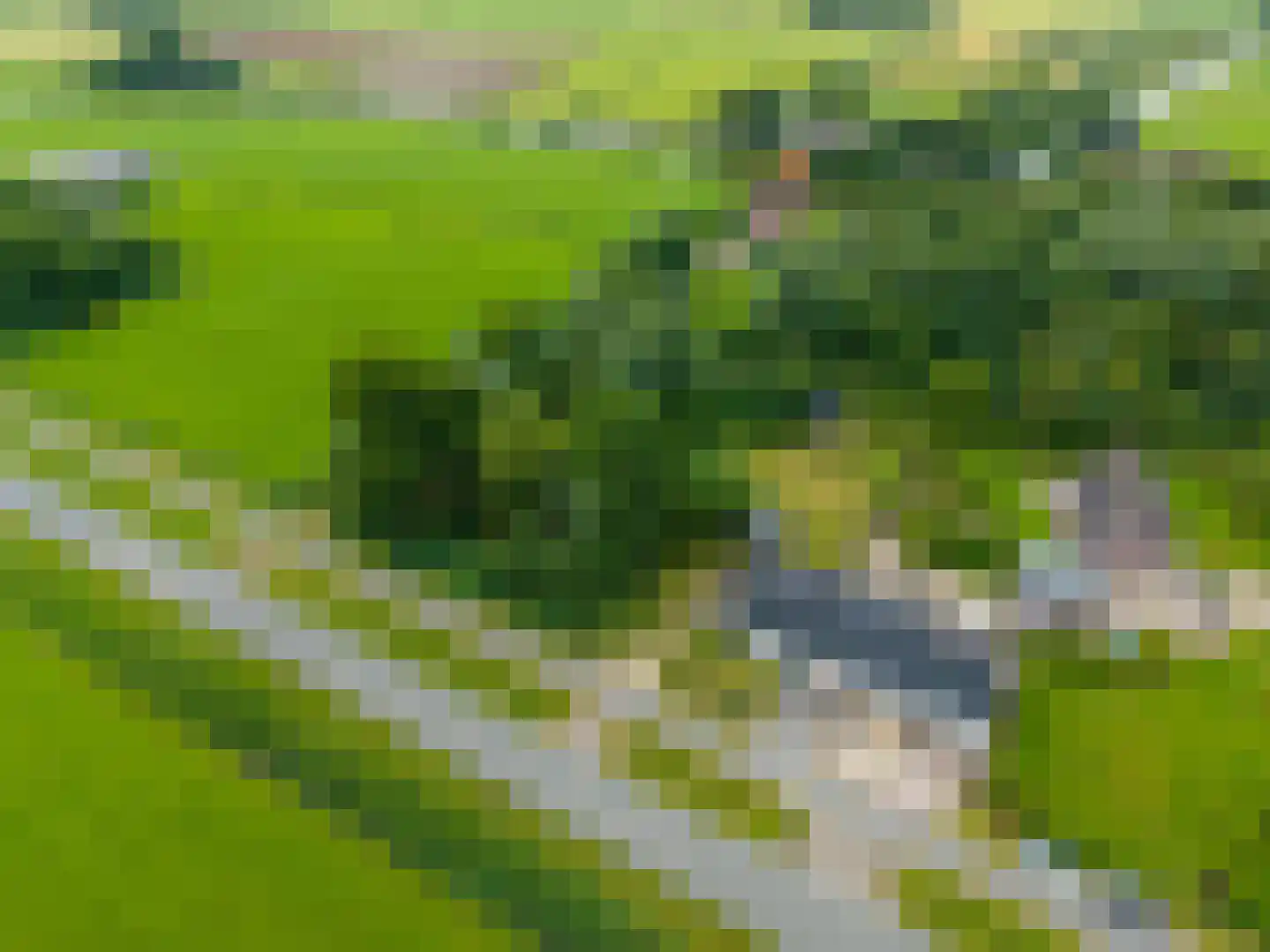 Winsumerweg 14 Onderdendam thumbnail 52