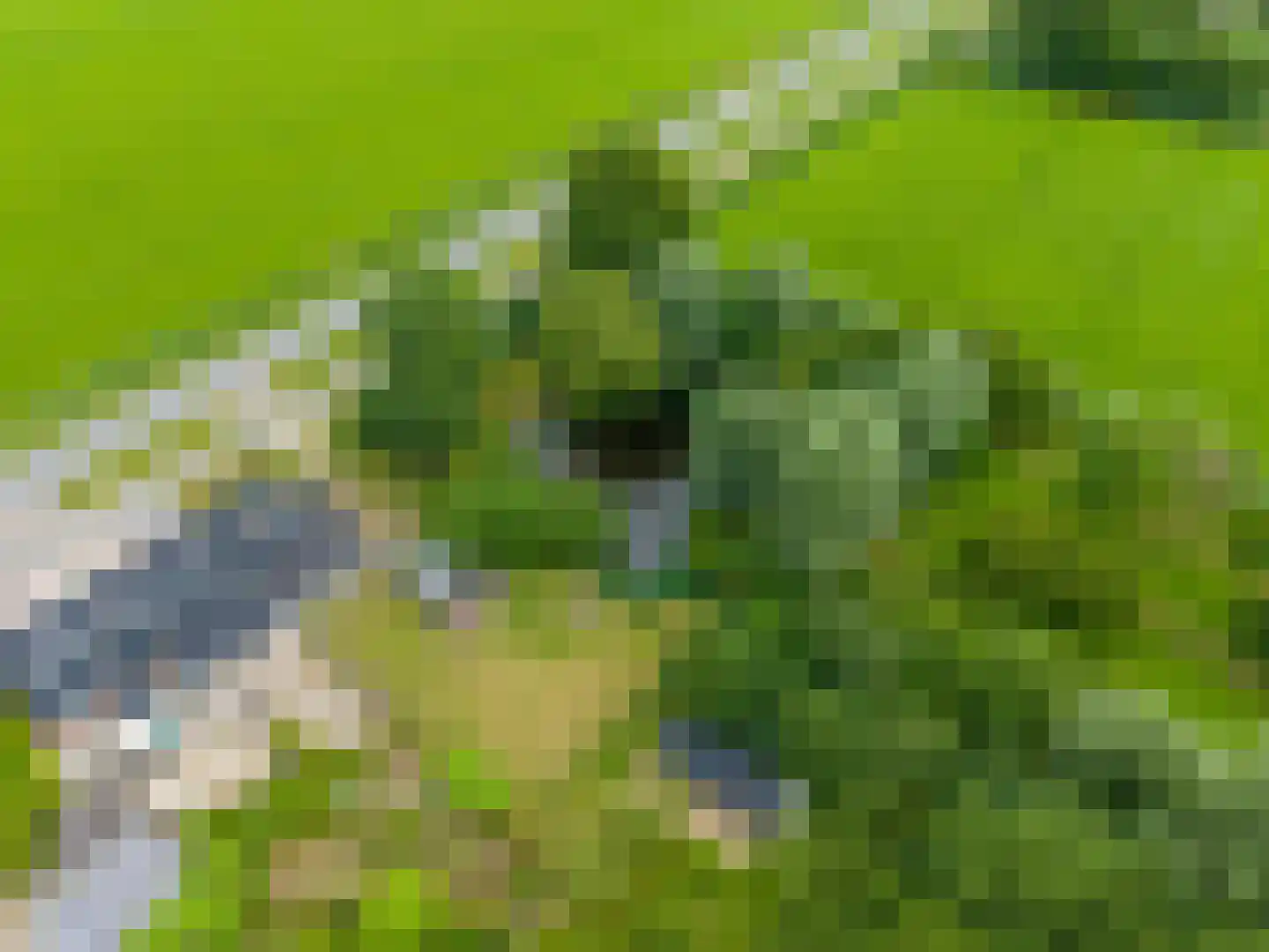Winsumerweg 14 Onderdendam thumbnail 53