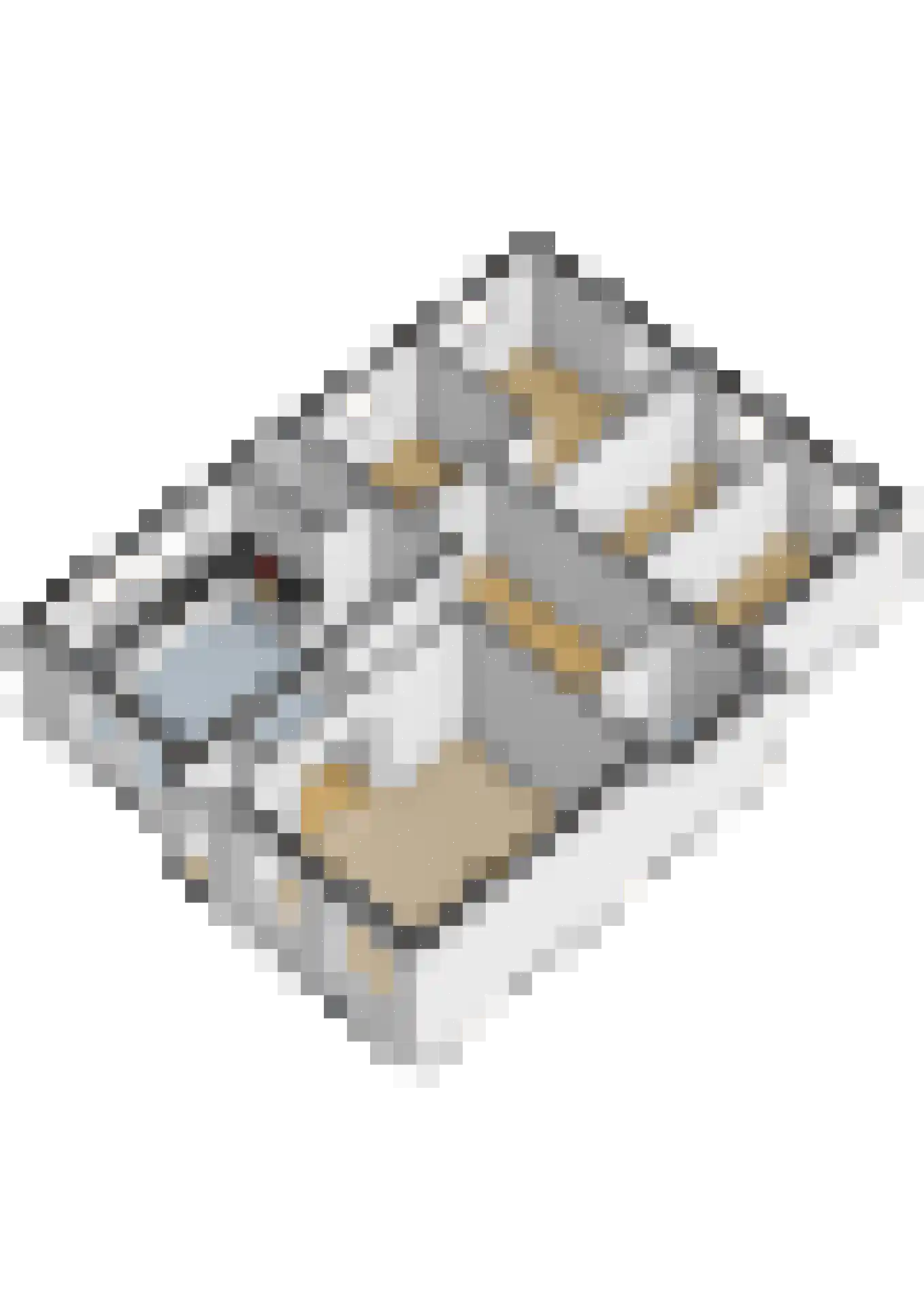 Winsumerweg 14 Onderdendam thumbnail 58