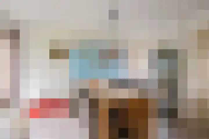 Winsumerweg 5 Baflo thumbnail 15