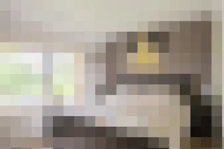 Winsumerweg 5 Baflo thumbnail 21