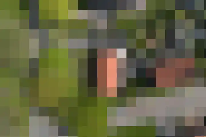 Winsumerweg 5 Baflo thumbnail 27