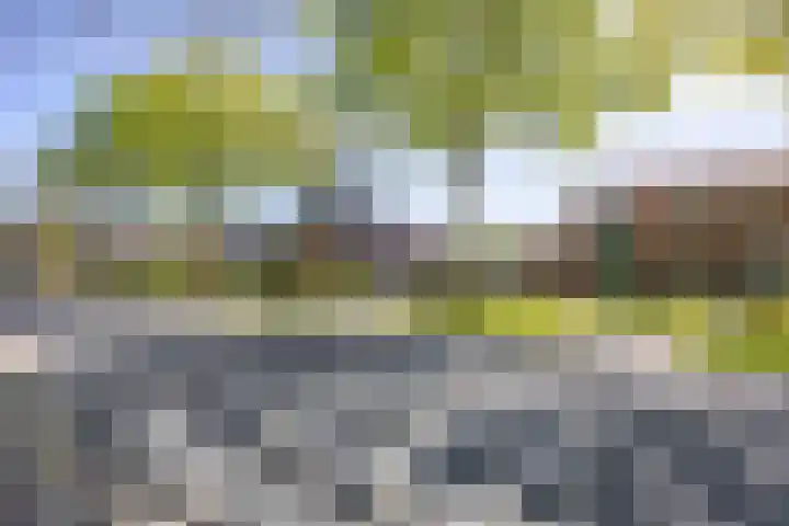 Winsumerweg 5 Baflo thumbnail 4