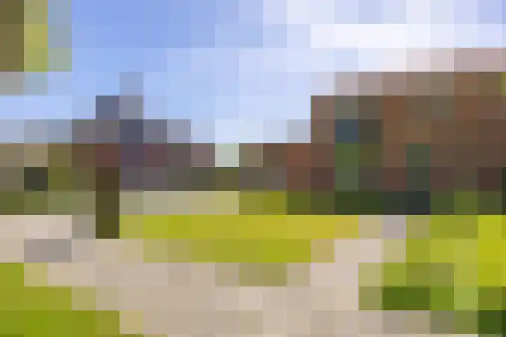 Winsumerweg 5 Baflo thumbnail 5