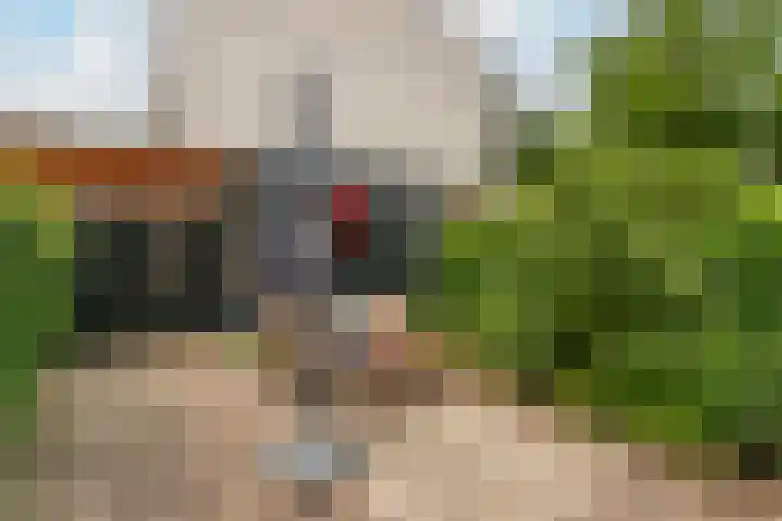 Winter 32 De Meern thumbnail 24