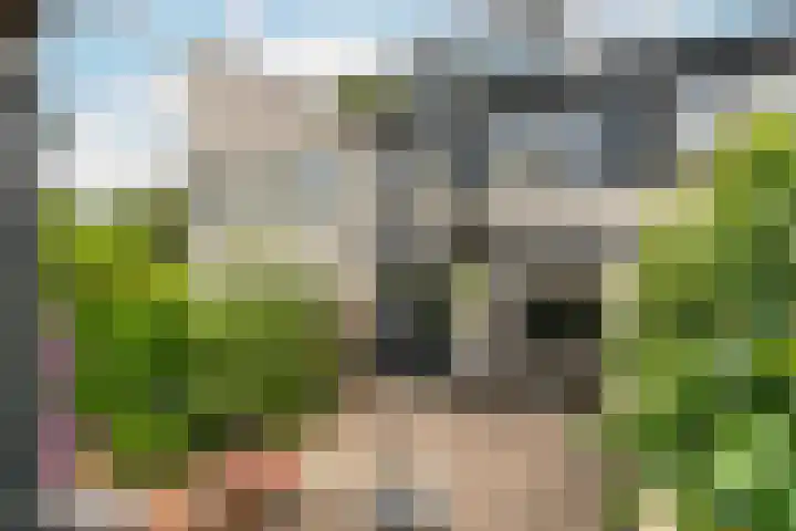 Winter 32 De Meern thumbnail 25