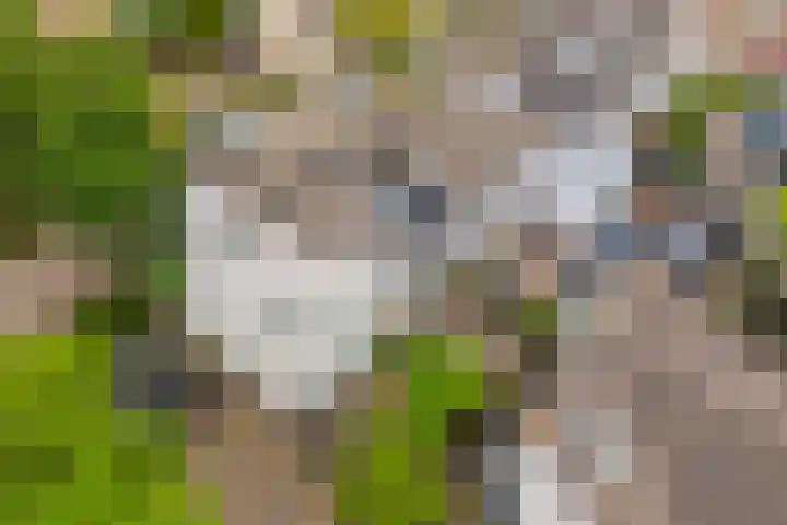 Winter 32 De Meern thumbnail 31