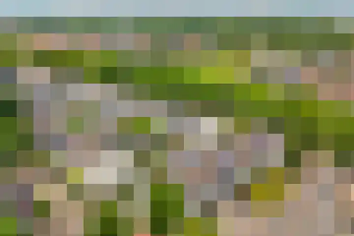 Winter 32 De Meern thumbnail 33