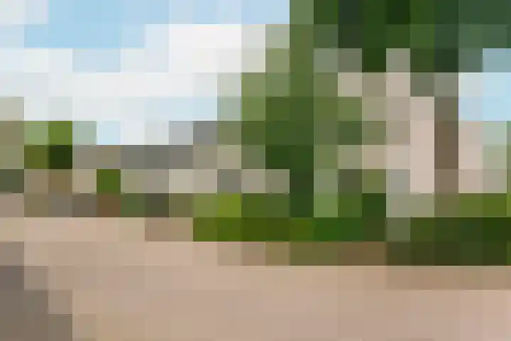 Winter 32 De Meern thumbnail 34