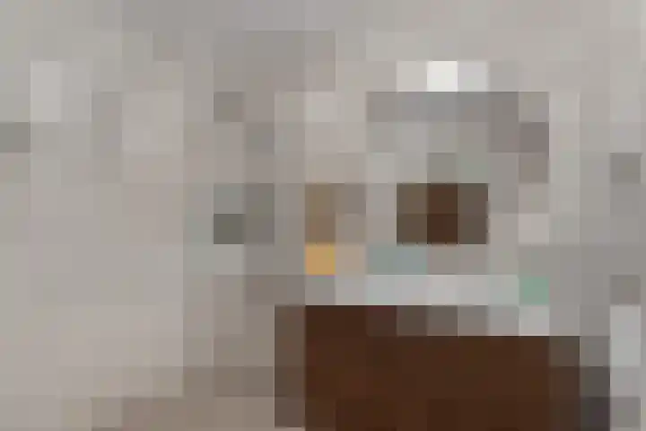 Winter 4 Dronten thumbnail 28