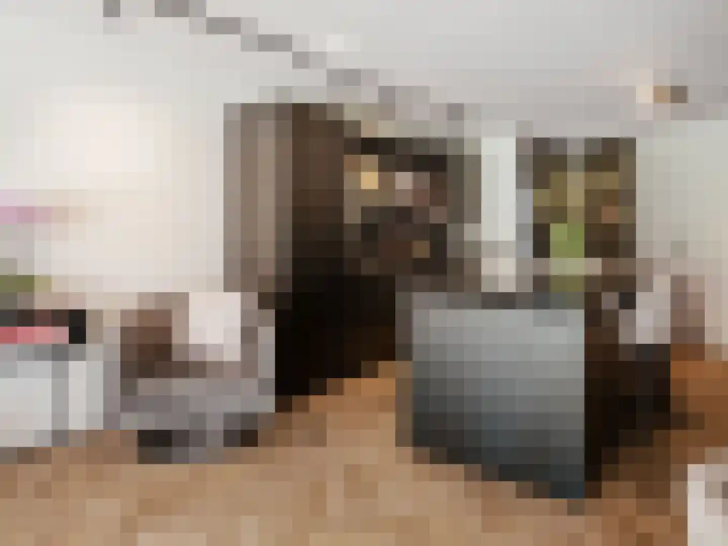 Winter 48 Dronten thumbnail 8