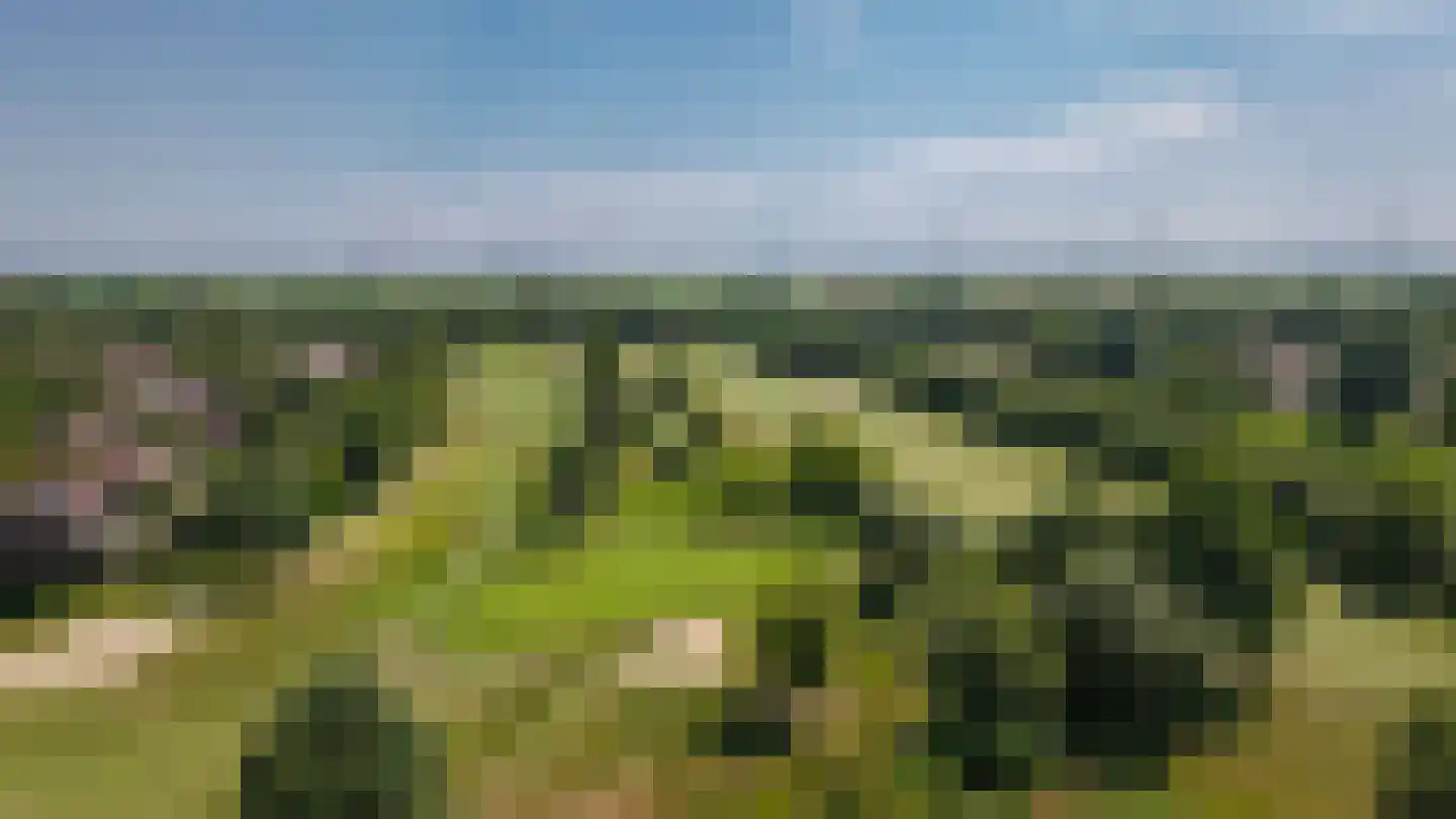Winter 54 Dronten thumbnail 58