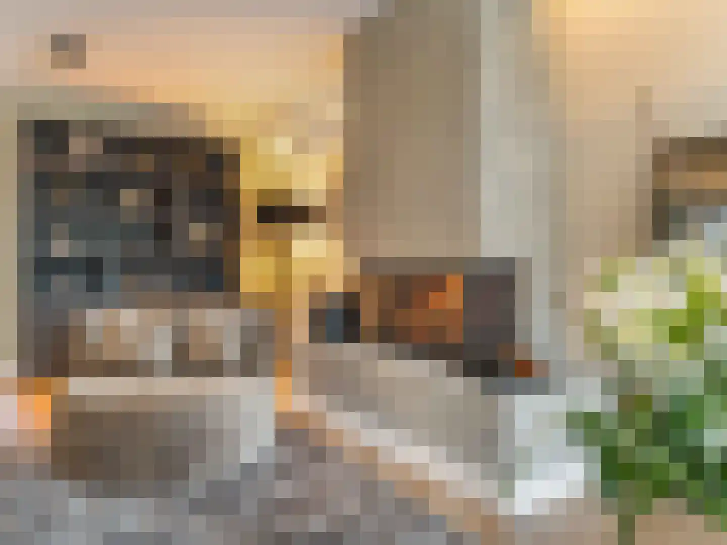 Winterakoniet 9 Breukelen thumbnail 12