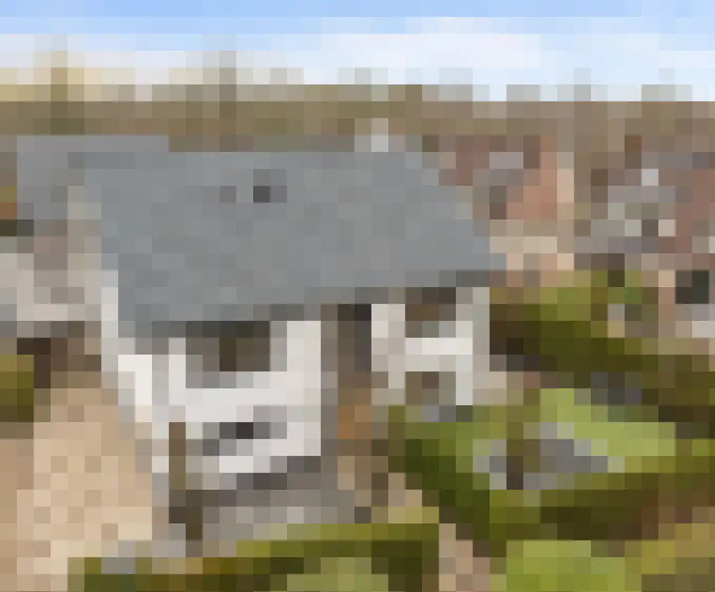 Winterakoniet 9 Breukelen thumbnail 5