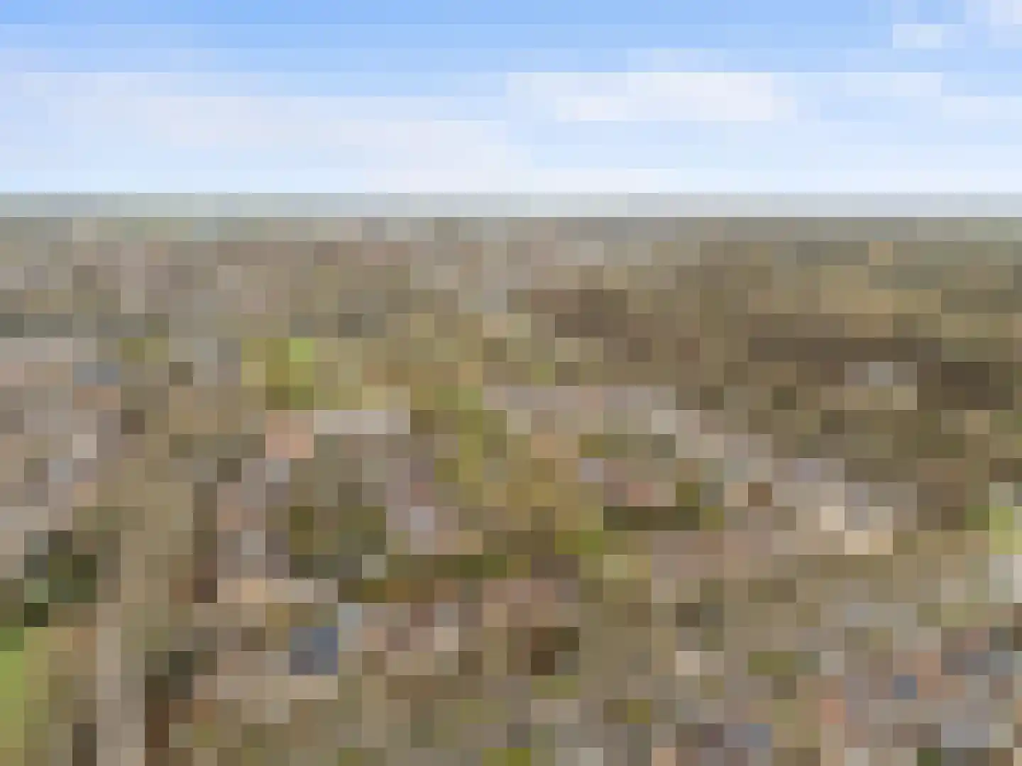 Winterakoniet 9 Breukelen thumbnail 66