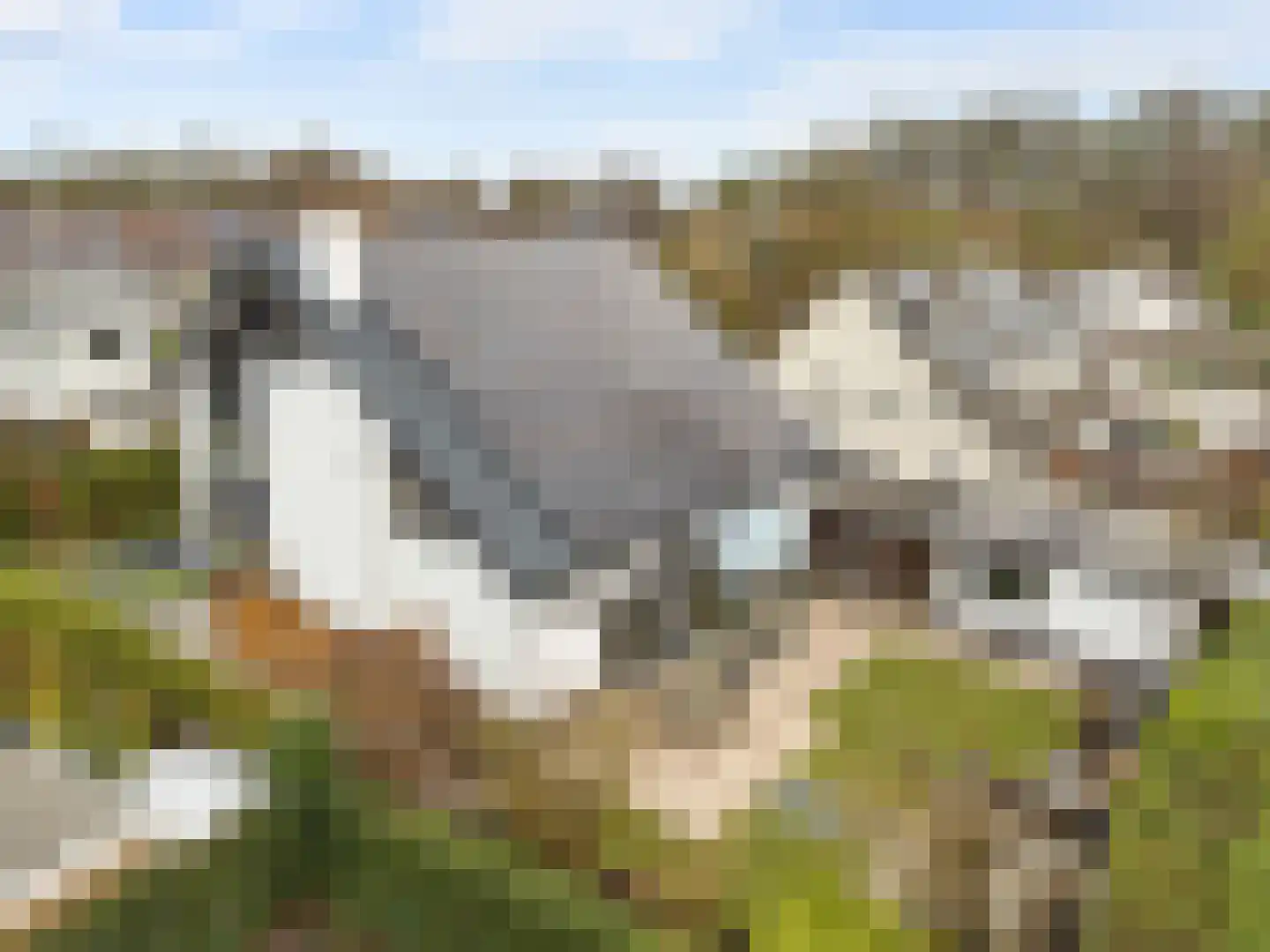 Winterakoniet 9 Breukelen thumbnail 70