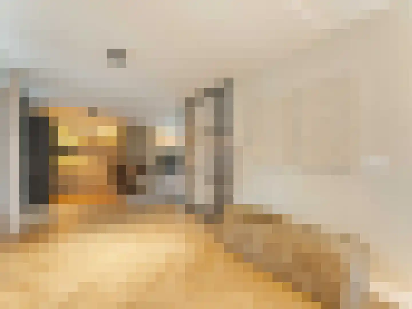 Winterakoniet 9 Breukelen thumbnail 8