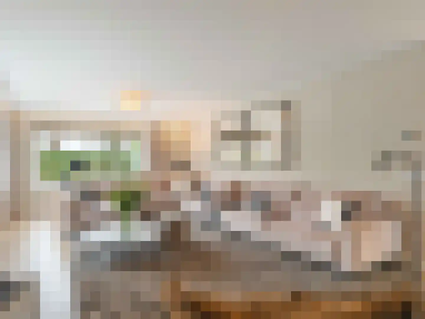 Winterakoniet 9 Breukelen thumbnail 9