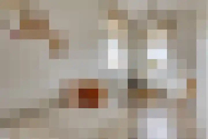 Winterbed 17 Kampen thumbnail 35