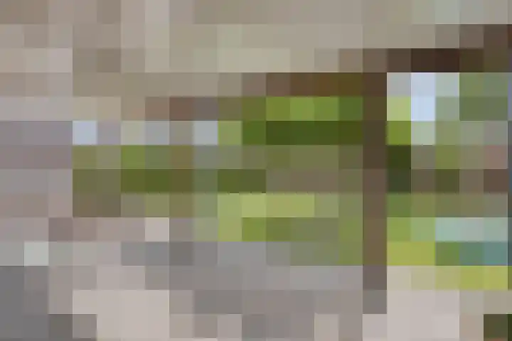 Winterbed 17 Kampen thumbnail 41