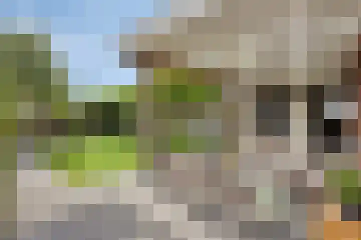 Winterbed 17 Kampen thumbnail 44