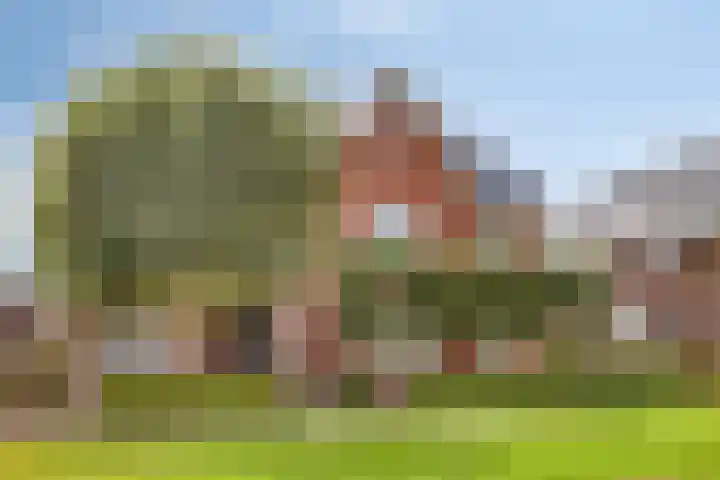 Winterbed 17 Kampen thumbnail 49