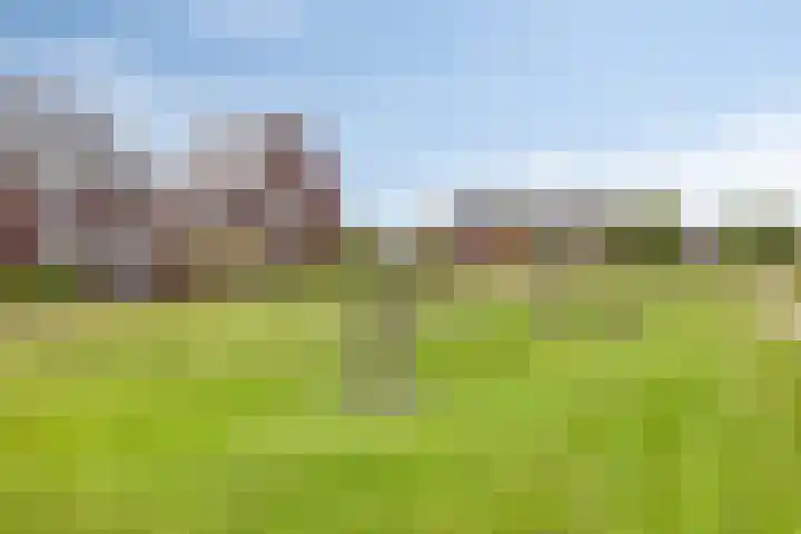 Winterbed 17 Kampen thumbnail 54