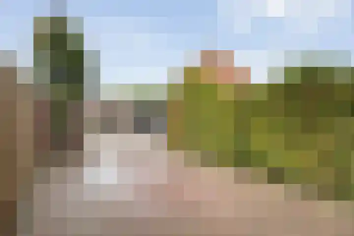 Winterbed 29 Kampen thumbnail 57
