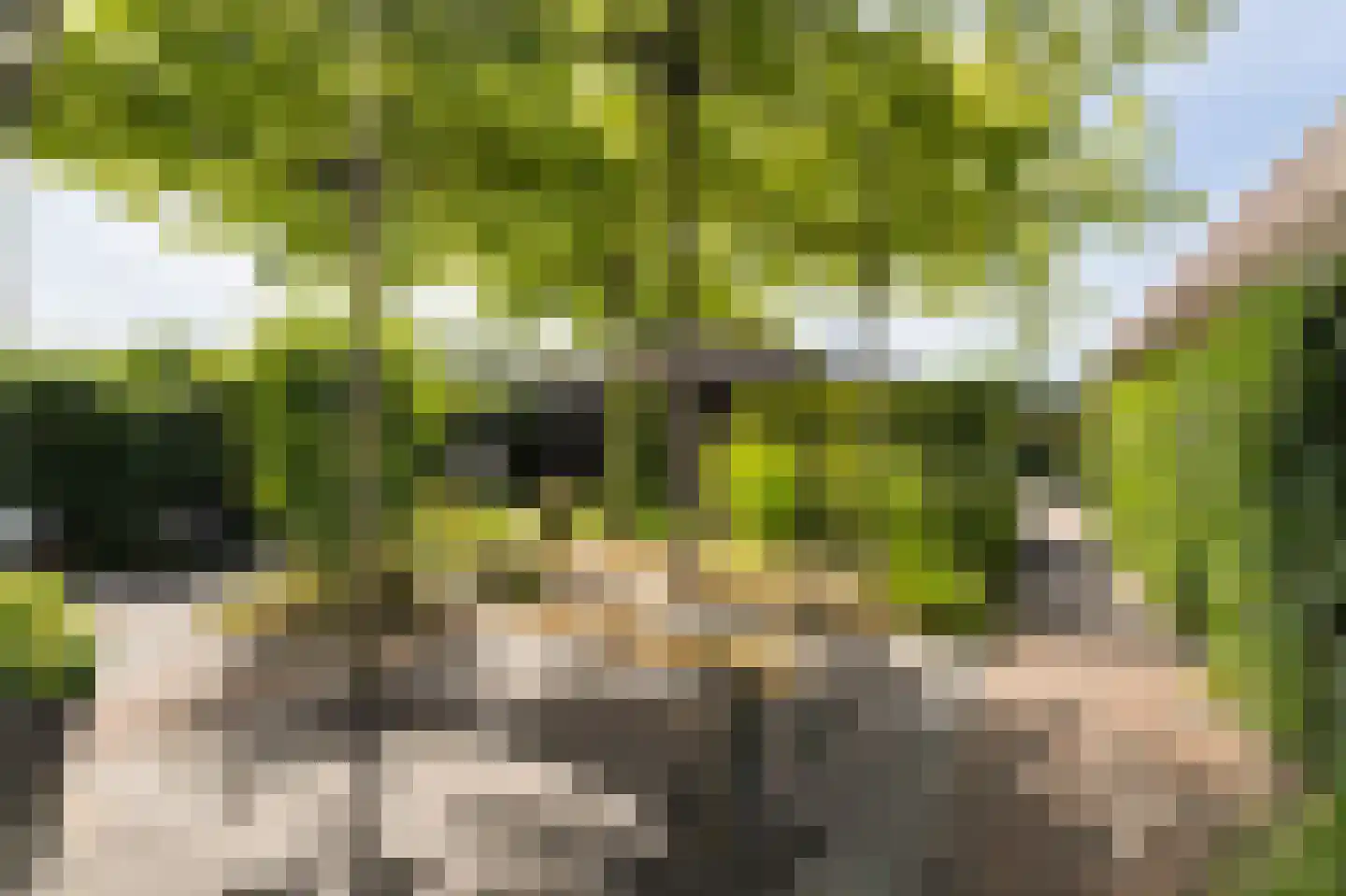 Winterbed 61 Kampen thumbnail 4