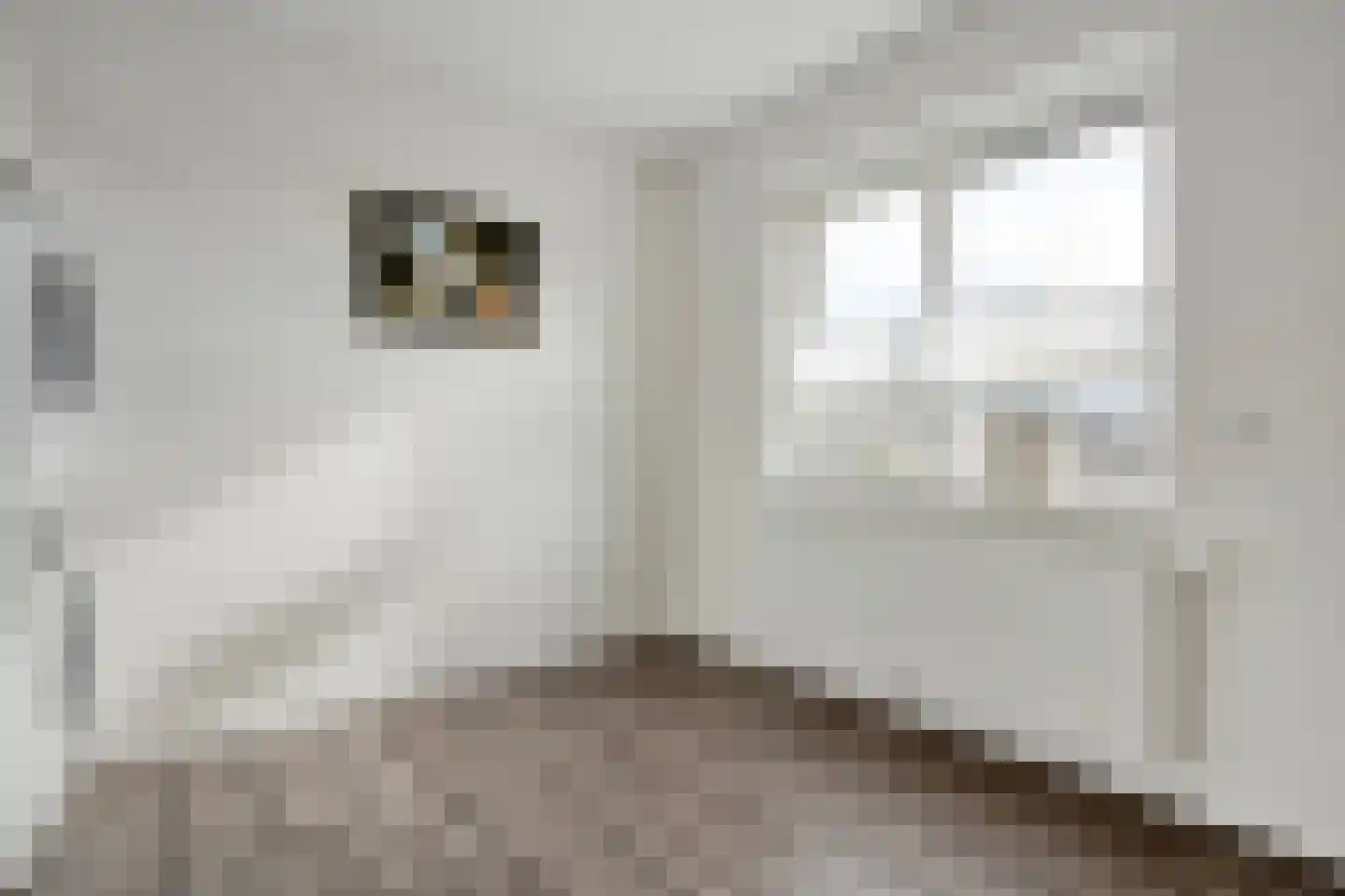 Winterbed 65 Kampen thumbnail 41