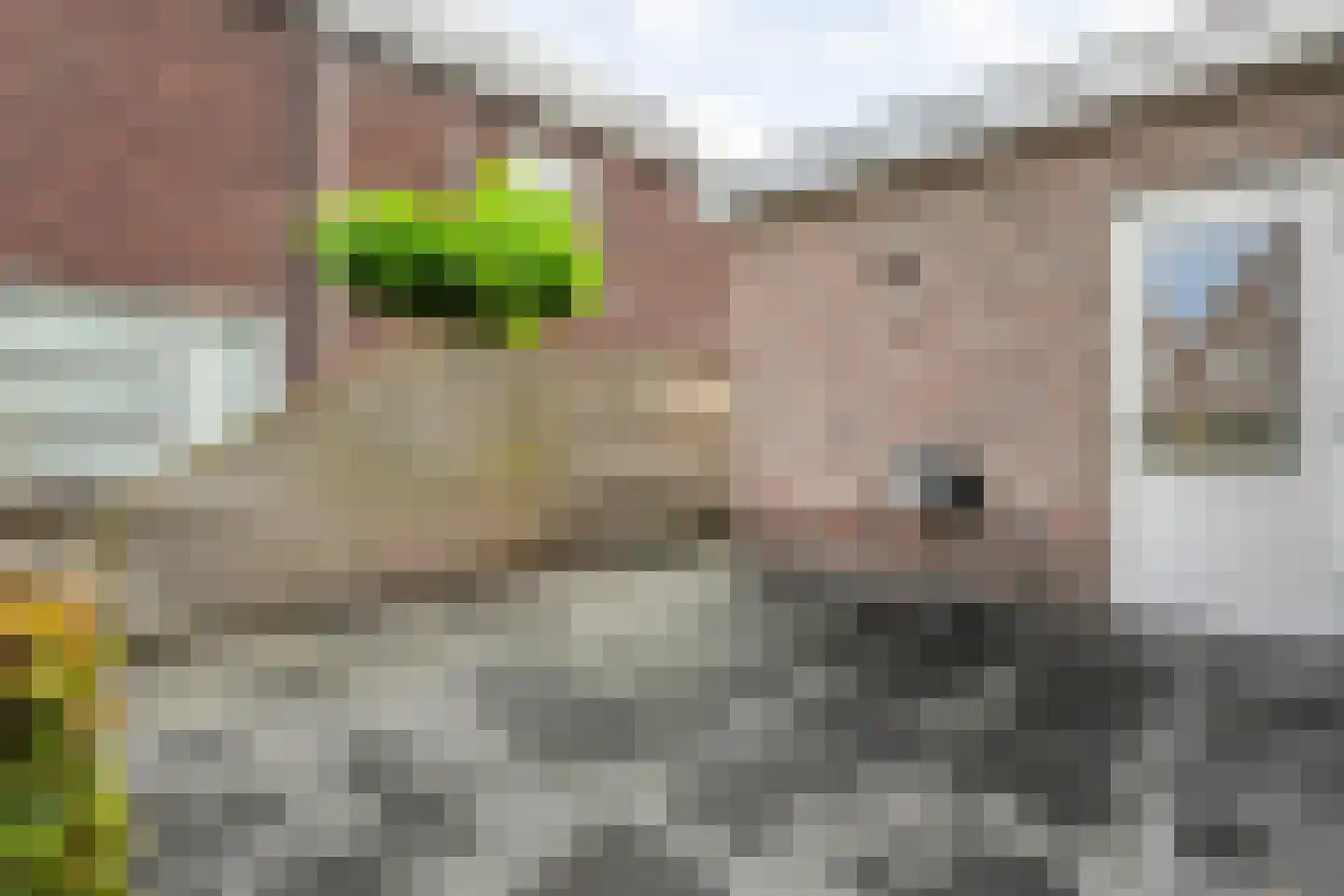 Winterbed 65 Kampen thumbnail 65