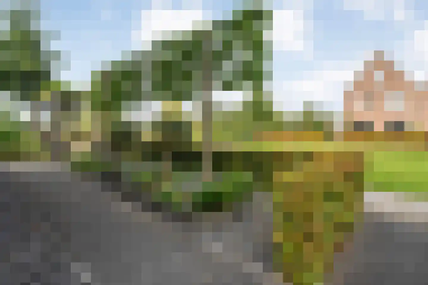 Winterbed 65 Kampen thumbnail 75