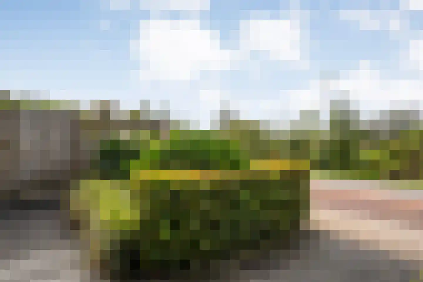 Winterbed 65 Kampen thumbnail 80