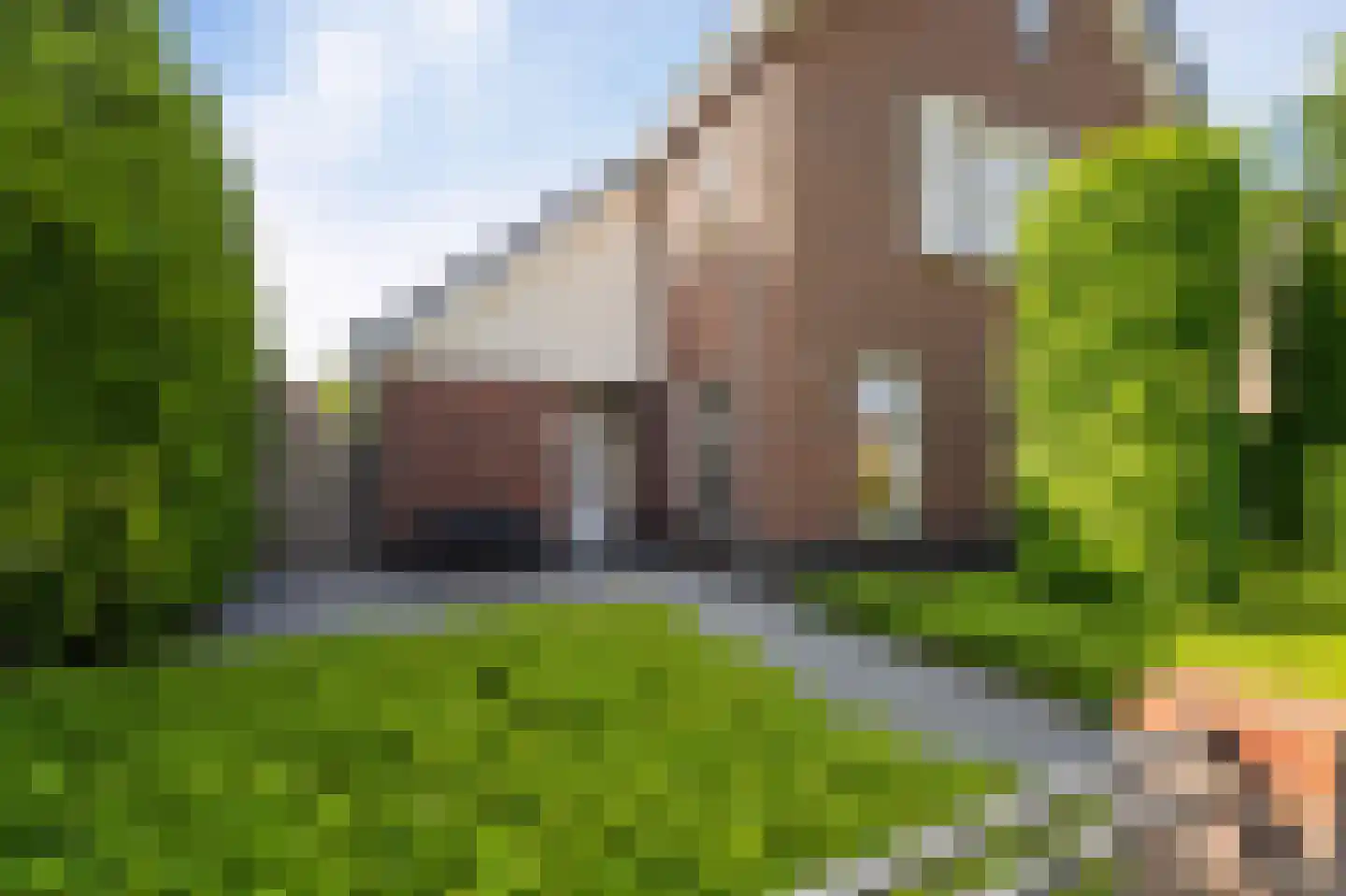 Winterbed 7 Kampen thumbnail 11