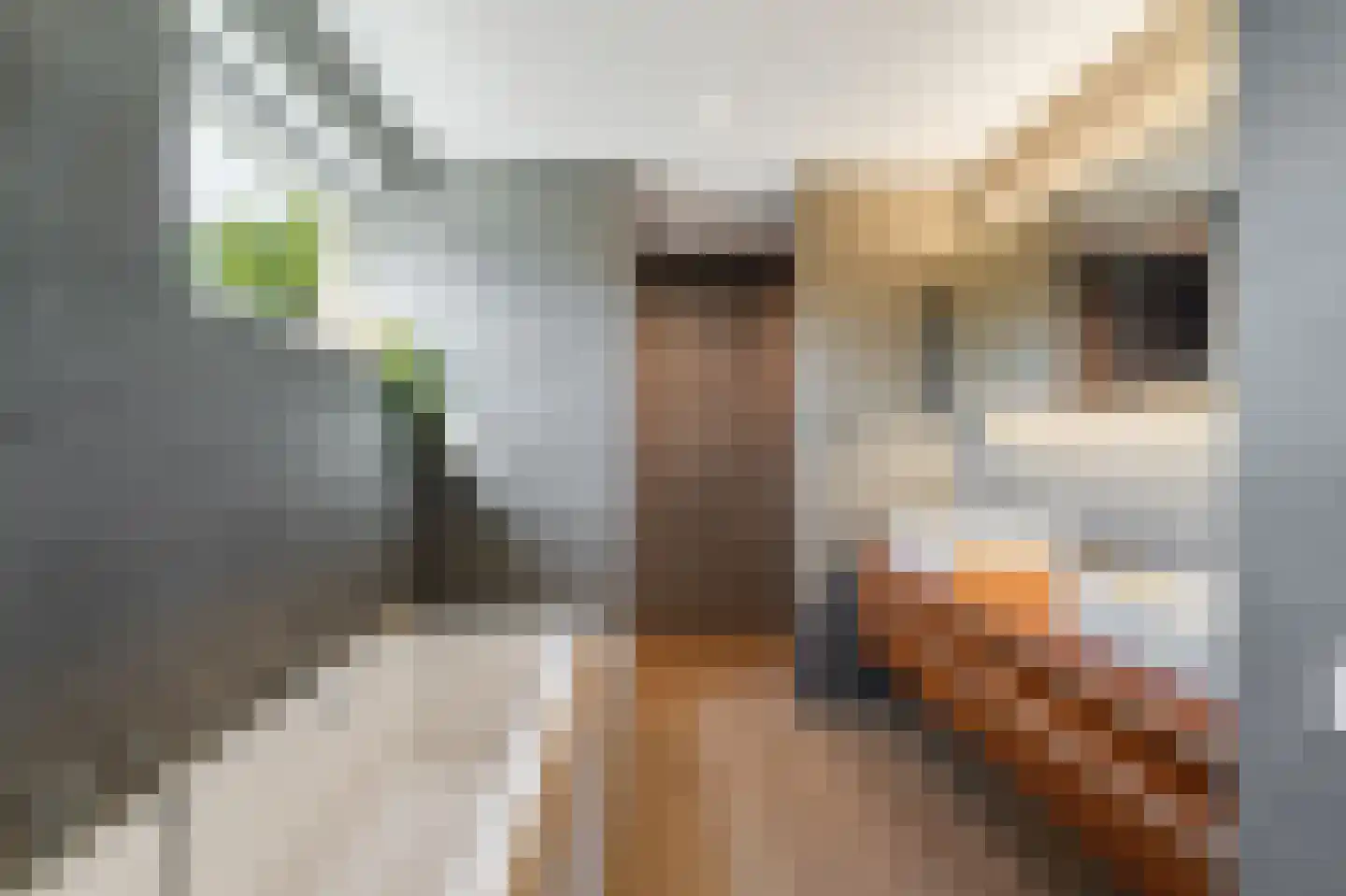Winterbed 7 Kampen thumbnail 4
