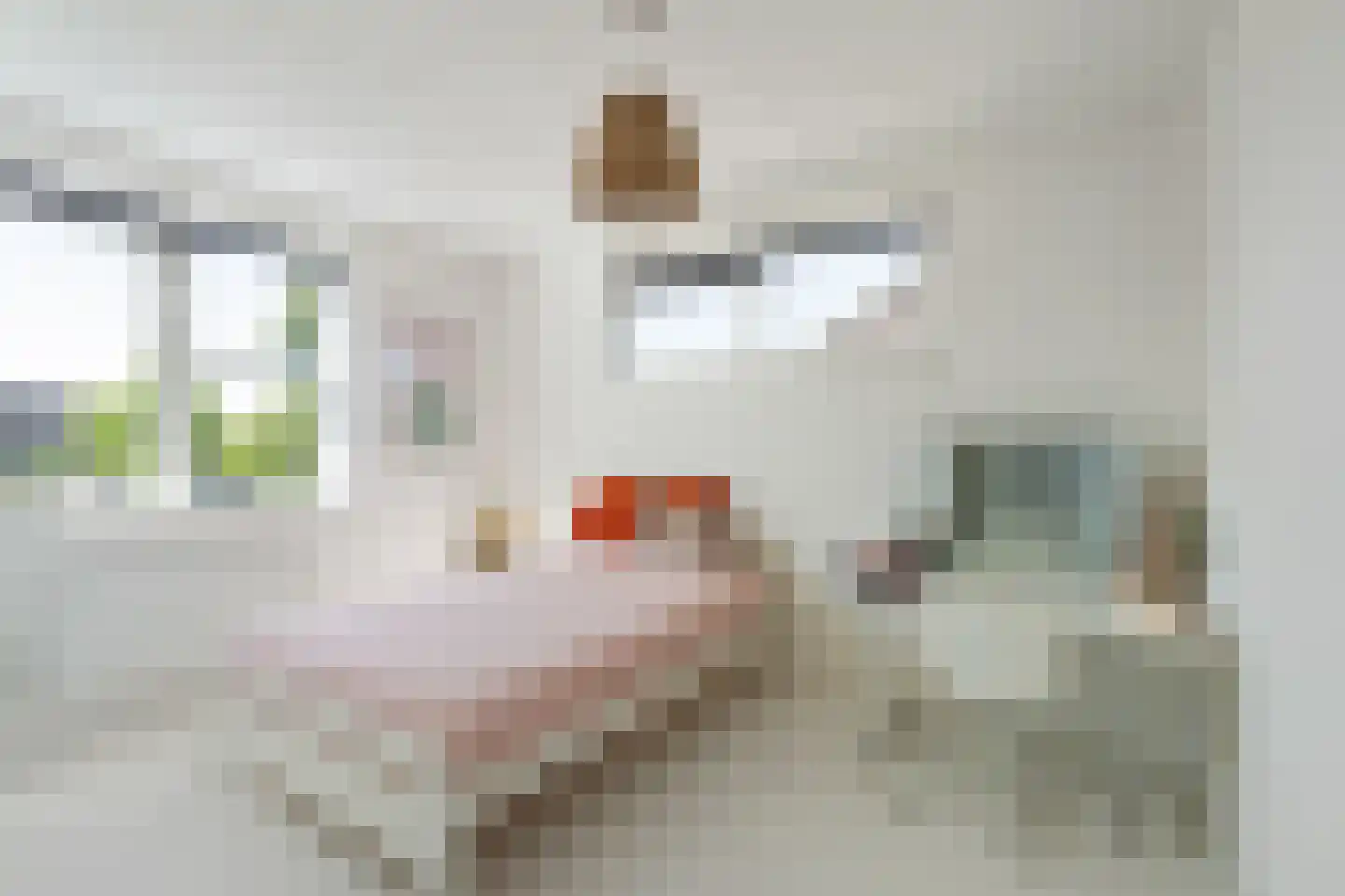 Winterbed 7 Kampen thumbnail 57