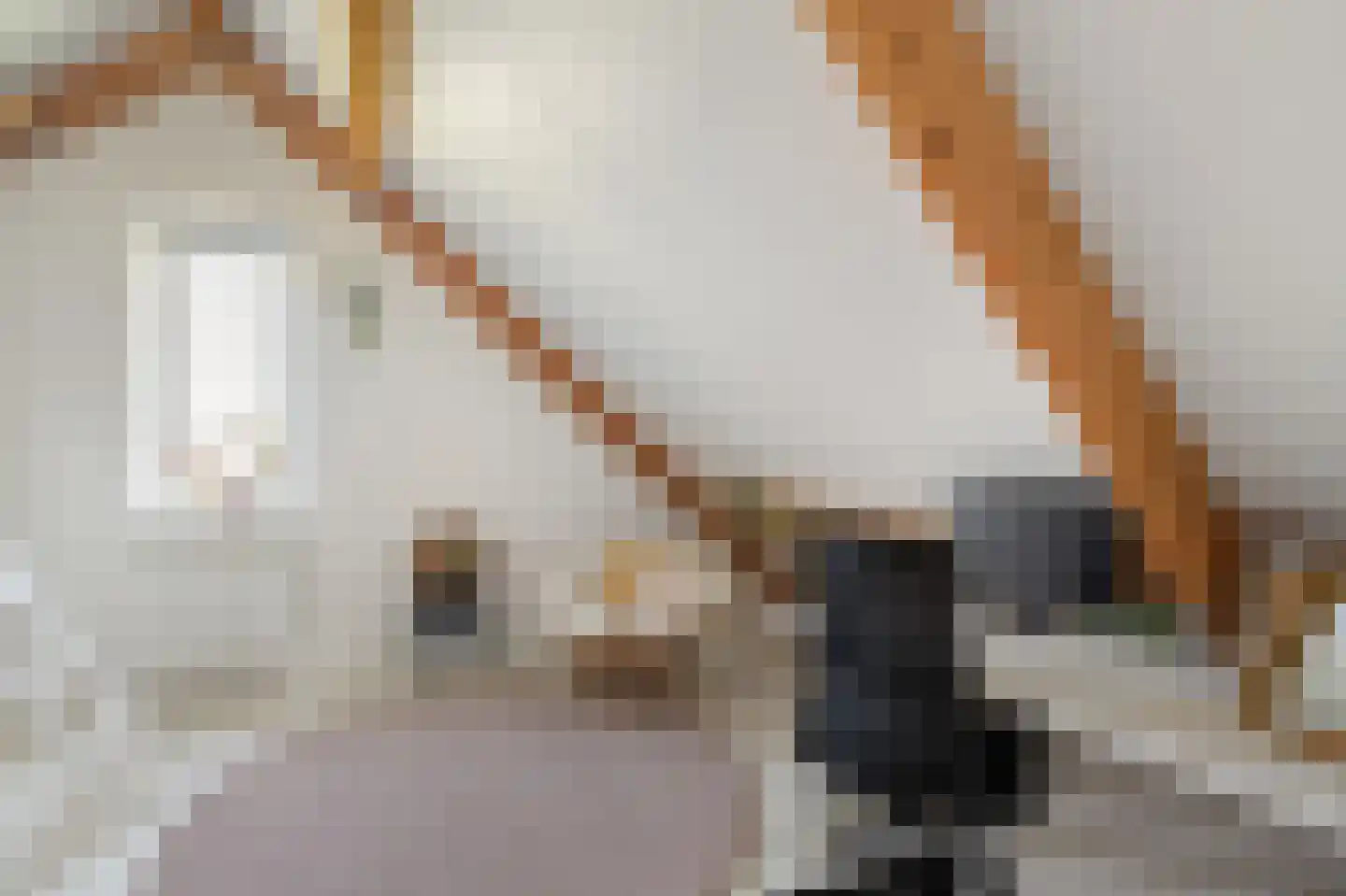 Winterbed 7 Kampen thumbnail 68