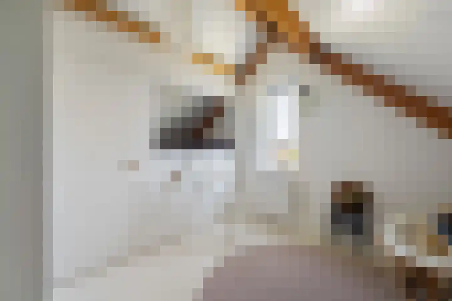 Winterbed 7 Kampen thumbnail 69