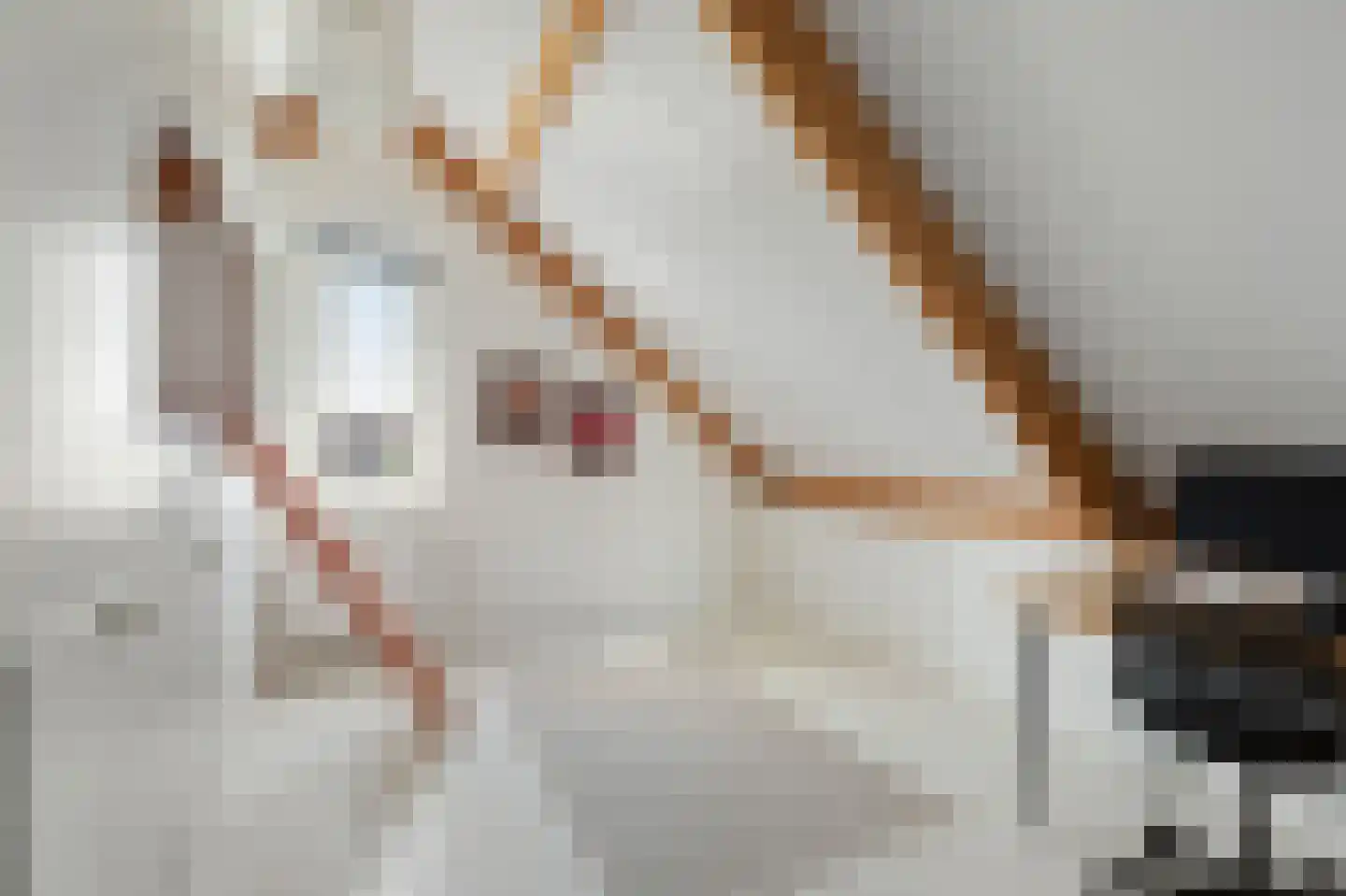 Winterbed 7 Kampen thumbnail 73