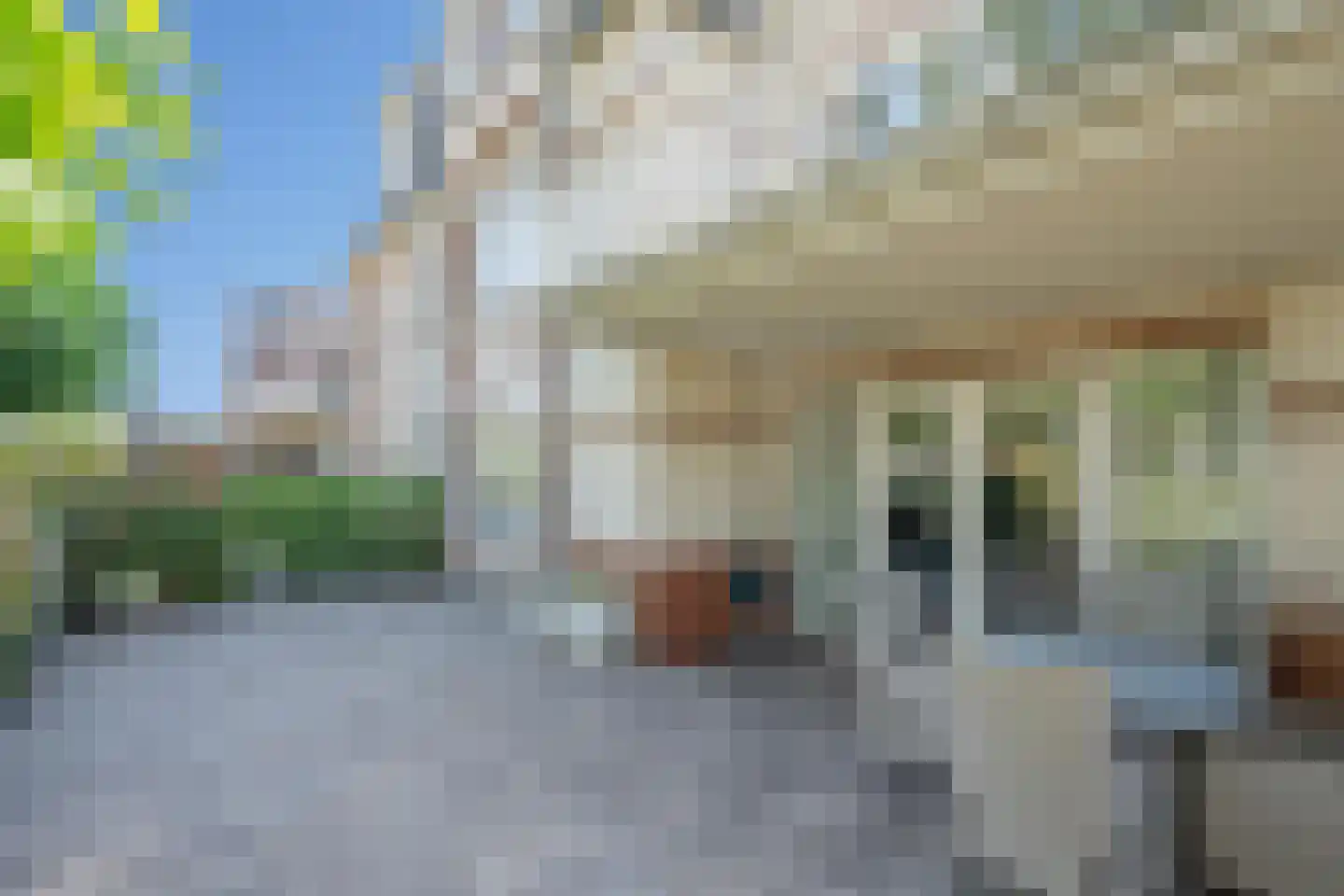 Wintercyclaam 1 Nootdorp thumbnail 26