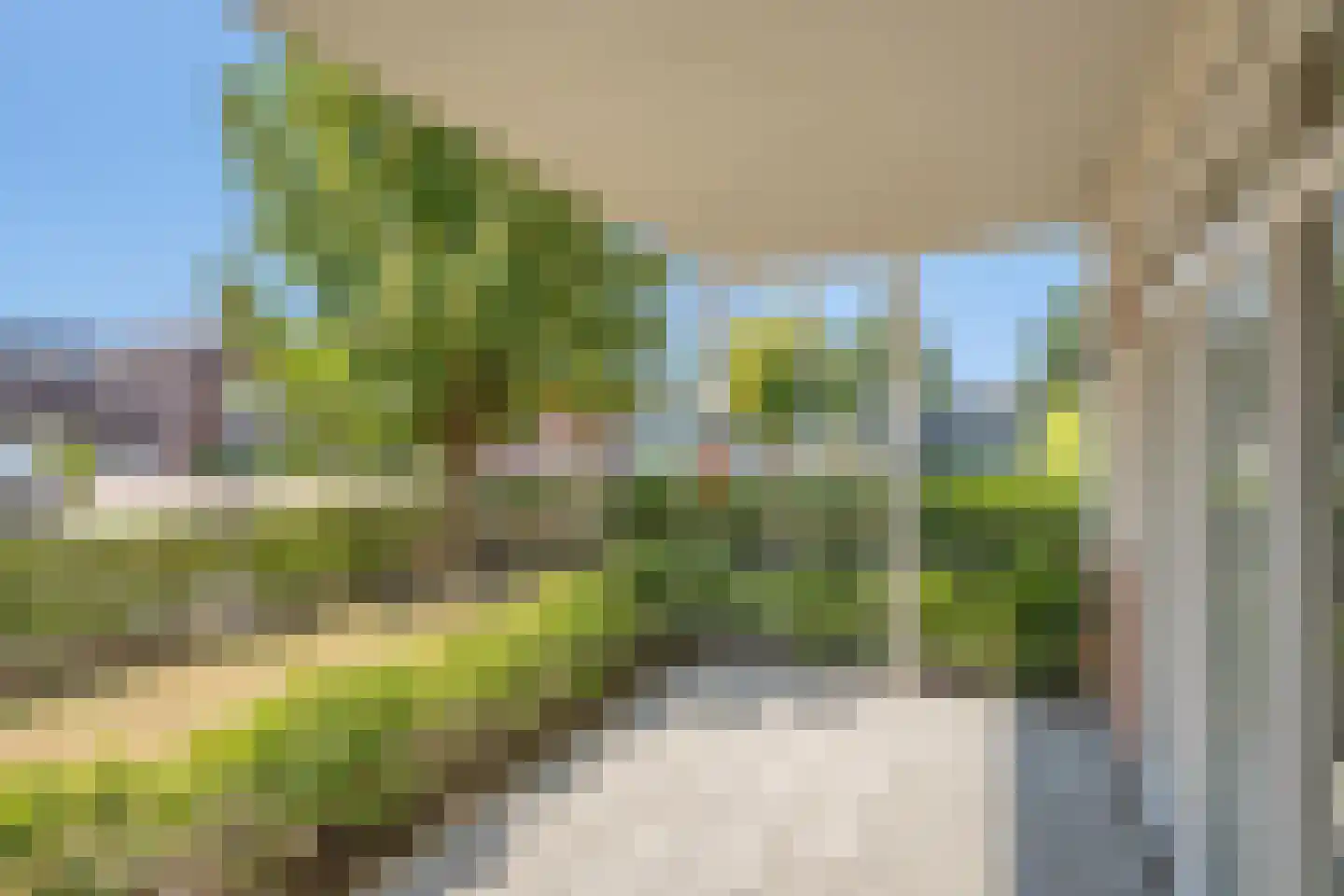 Wintercyclaam 1 Nootdorp thumbnail 27