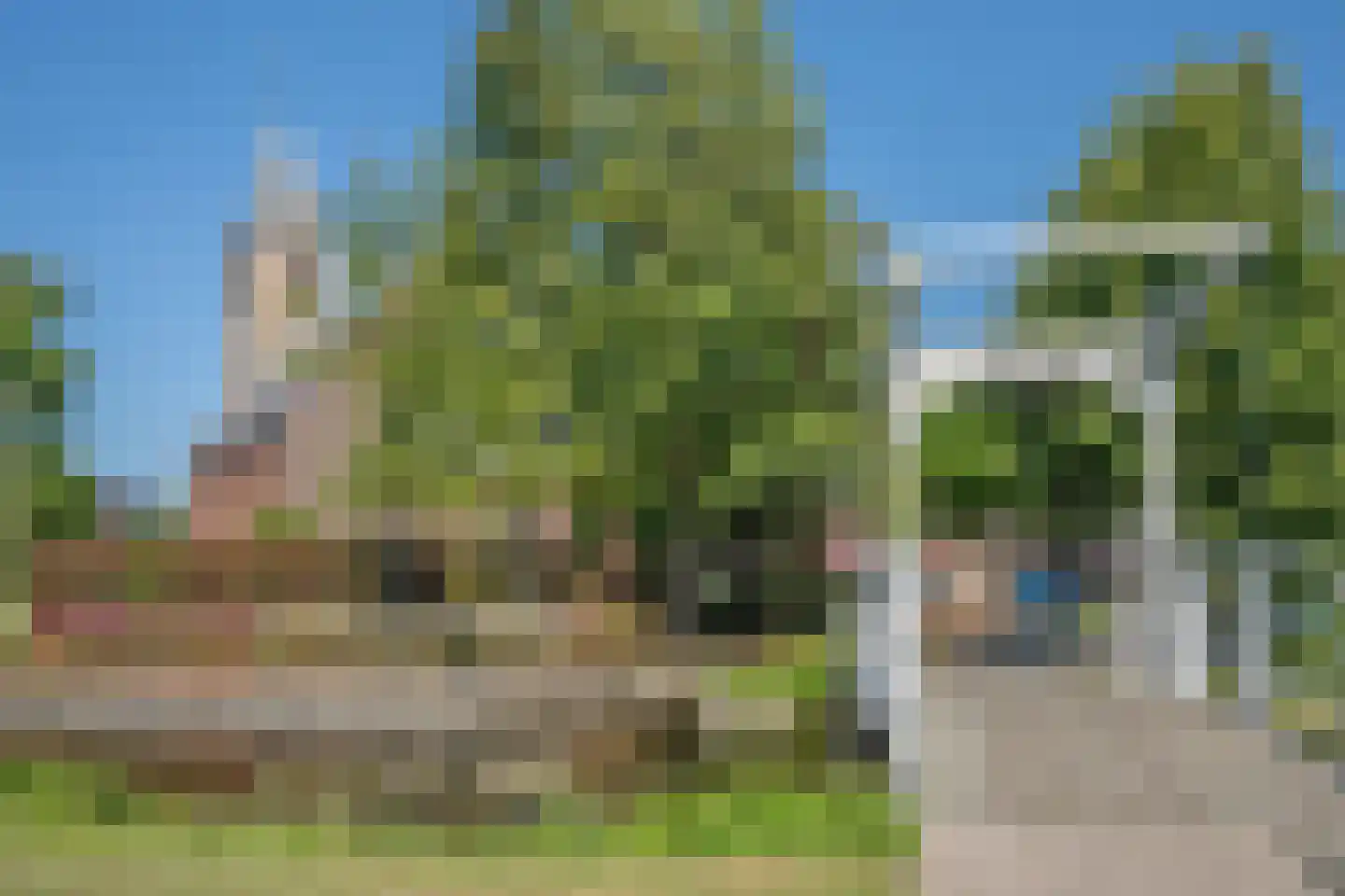 Wintercyclaam 1 Nootdorp thumbnail 29
