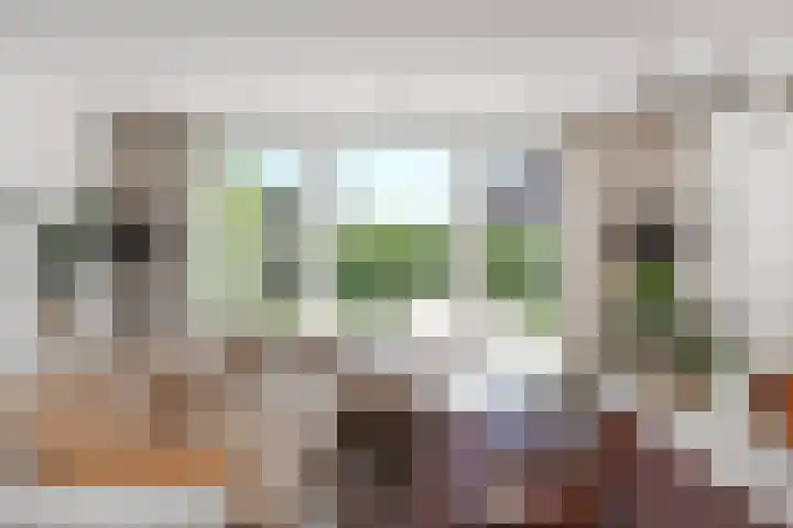 Wintercyclaam 6 Nootdorp thumbnail 13